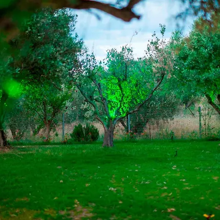 Villa Royal With Sea View